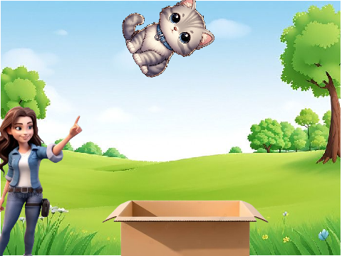catch the cat